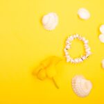 Reddybook Review: How This Innovative Platform Is Transforming Digital Learning and 11xplay Integration